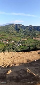 Sailer De Satılık Zeytinlik....