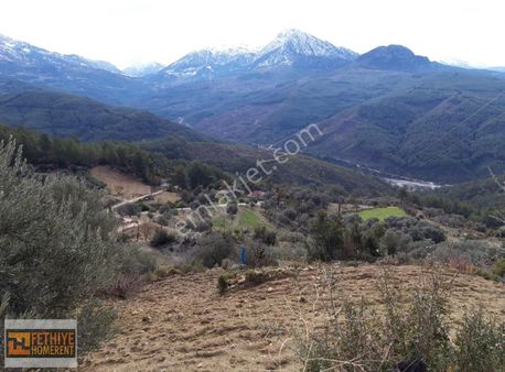 Seydikemer Orta Bayır'da Satılık 574 M2 Tarla