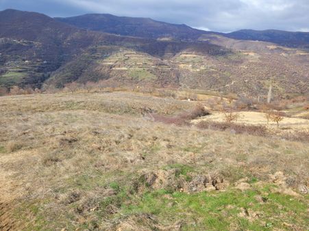 Meta'dan Çanakçı Da 5547 M² Tarla