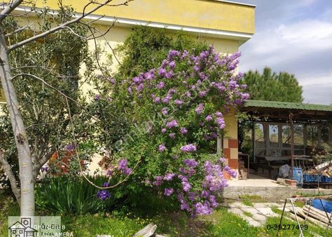 Manisa Yunusemre K.sümbüllerde Satılık 6+1 Bahçeli Villa 7.700.000 Tl.