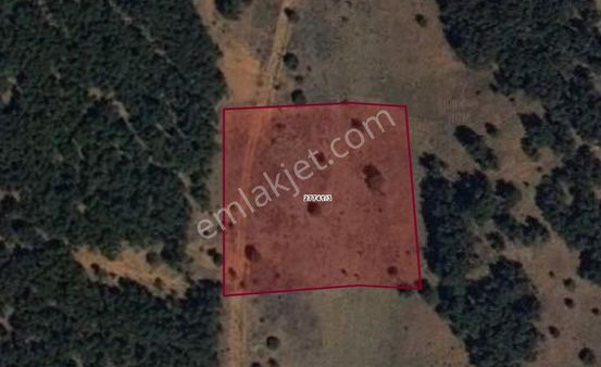 Cumhuriyet Sekiören Mahallesinde 3.778 M2 Satılık Tarla