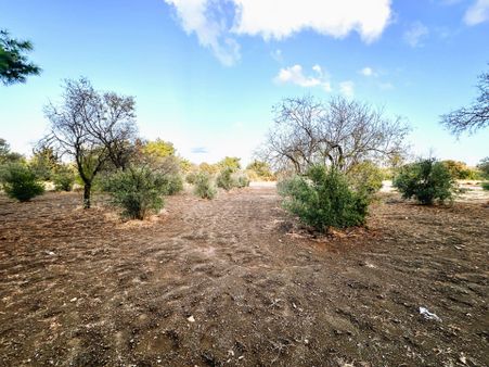 Datça Ela Emlak'tan Kızlan Köyünde Satılık 778 M² Tarla