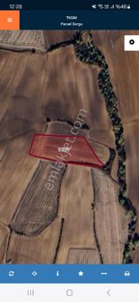 Edirne Lalapaşa Hacıdanişment 8316 M2 Tarla Düz Zemin