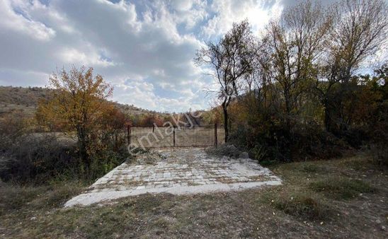 Afyon Kocatepe B.kalecikte İçinde Ağaçları Mevcut 12500m2 Tarla