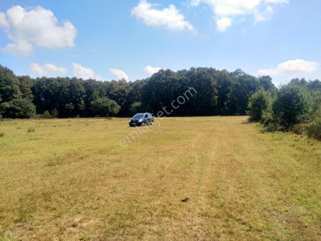 Tekirdağ Saray Büyükyoncalı 1709 M2 Tarla İstanbul Sınırında