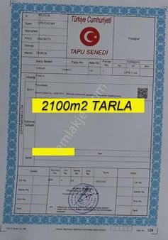 Bilecik Gölpazarı Hacıköy,de Acil Satılık 2100m2 Tarla