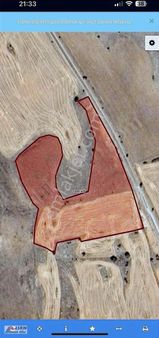 Asrın Emlak'tan Kangal Minarekaya Satılık Tektapu 14 Dönüm Tarla