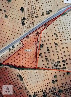 Anadolumdan Burç Ozanlıda Asvalta Sıfır Bağevlik Arazi