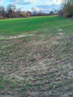 Duru Emlak'tan Satılık Hobi Bahçesi