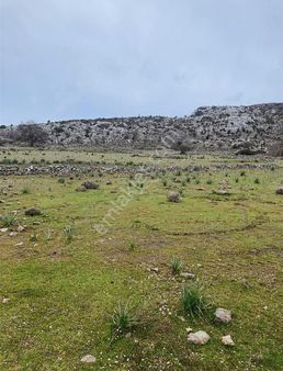 Selımıyeli Emlaktan Satılık Kelepir Tarla