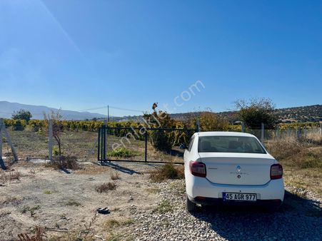 Manisa Muradiye Asfaltında 3.550 M2 Bağ , Suyu Var