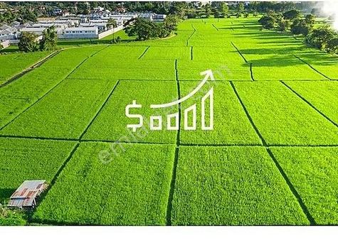 Bodrum Yakaköy Fırsat Tarla