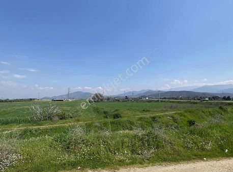 Gökçen Merkeze Çok Yakın Anayola 40mt Mesafede 3010 M2 Tarla