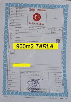 Eskişehir Beylikova Doğanoğlu,da Acil Satılık 900m2 Tarla