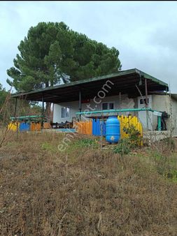 Serdar Emlak✅arazi Bahçe+ev