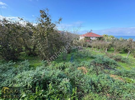 Beyhanlı Da Deniz Manzaralı İmarlı 1151 M2 Satılık Arsa