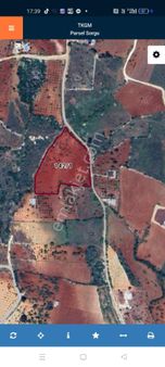 Akyol Gayrimenkul Den Satlık Yıgınlıda Aslfat Üzeri Fıstık Tarlası