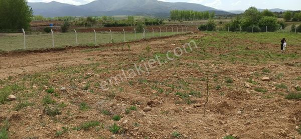 Kadınhanı Şahören'de 6.500 M2 Müstakil Satılık Tarla