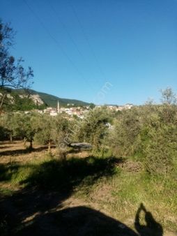 Güneyden Bursa İznikte Satılık 635m2 Köyün Yanı Başında Arsa
