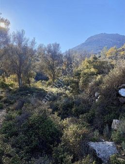 Selimiyeli Emlaktan Satılık Arsa