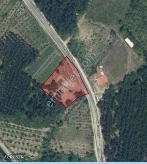 Balıkesir Sındırgı Kozlu Mahallesinde Asfalta Sıfır Hobi Bahçesi