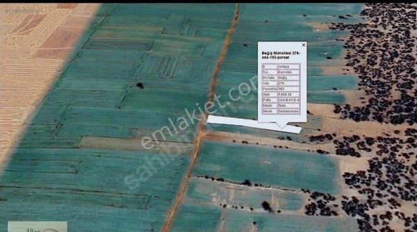 Korkuteli Beğiş Te Resmi Yolu Ve Proje Kapsamlı