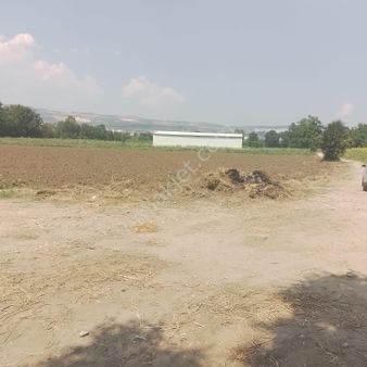 Bursa İnegöl Yeniceköy 'de Satılık Tarla