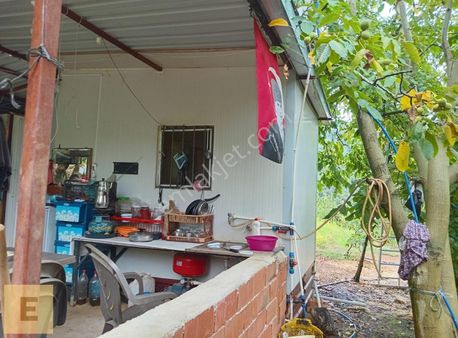 Hisarlik Yaylada Mükemmel Bahçe