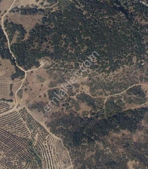 "yatırımlık Tarla! Mücavir Alanda, Organizeye Sadece 1 Km!"