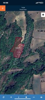 Bursa İnegöl Gündüzlü Hamamlı Mahallesinde Satılık Tarla