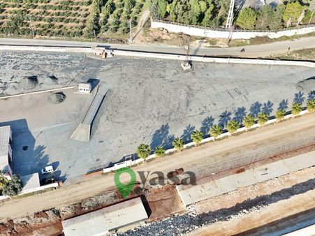 Yaşa Gyd - Akdeniz D400 Yolu Yakın 6524 M2 Tarla