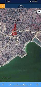 Yatırımlık Uygun Fiyata Zeytinlik