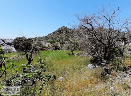 Marmaris Söğüt Köyünde Deniz Manzaral 1.476 M2arsa 12.000.000tl