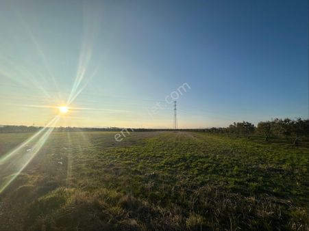 Manisa Akhisar Kapaklı Mahallesinde Yatırıma Uygun Tarla