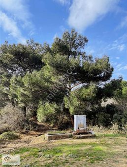 ~( Doğayla - Deniz) ~ Arasında Bir Yaşam Düşünün...~