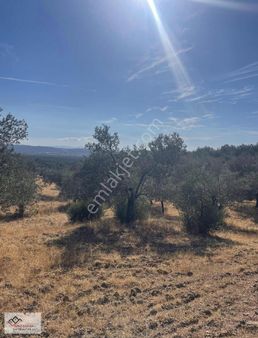 ~kuzey Ege'nin Altını~