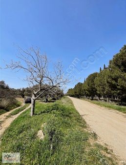~ Doğal Yaşamın Adresi Karaağaç'ta Zeytinlik & Hobi Bahçesi ~