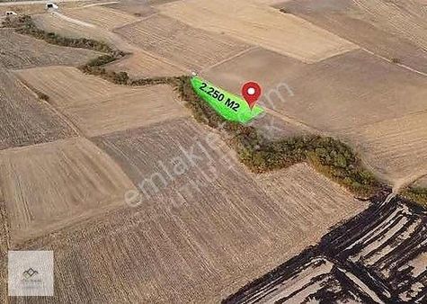 Babaeski Ertuğrulda 2250 M2 Köye Yakın Satılık Tarla