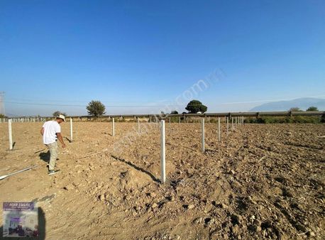 Üniversitenin Yanında Acil Satılık Tarla