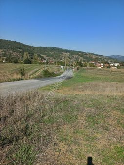 Alay Emlak Ofisinden Nüshetiyede Satılık Tarla