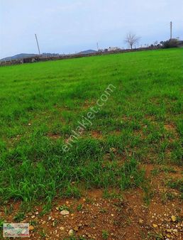 Serik Deniztepesinde Satılık Sera Yapımına Uygun Bahçe Ve Ev