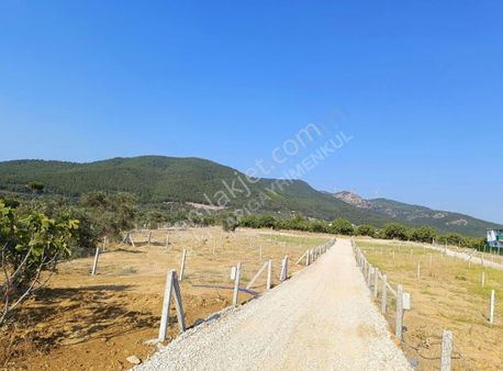 Torbali Karaot 205 M2 Arsa Araç Takası Yapılır Elektrik-su-tel