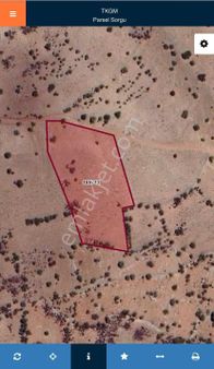 Güneysınır İlçesi Karasınır Mah. Satılık Bağ