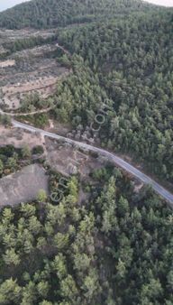 Ören Akbük Sahili Ve Akbük Sahili Arasında 4760