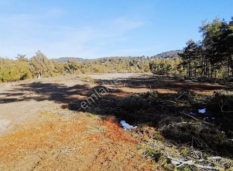 Denizli Acıpayam, Kuzören Mah. De 29.564 M2 Satlık Tarla