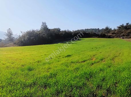 Seydikemer Çaykenarında 3050 M2 Tarla Ve...