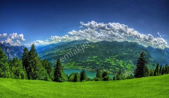 Fatih Emlak'dan Satılık Arsa Kozağaç'da