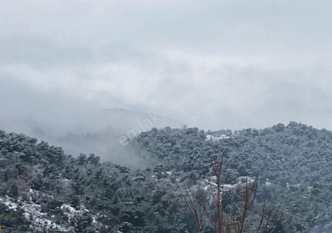 Marmaris Taşlıca 'da Denize Kuş Uçumu 650 Mt Geniş Arazi6900m2