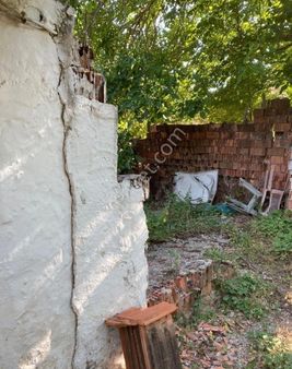 Örende Satılık Deniz Gören Zeytinlik