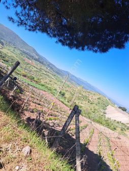 Balıkesir Sındırgı 3.430m2 Kaplıca Bölgede Yerleşim İçinde Arazi